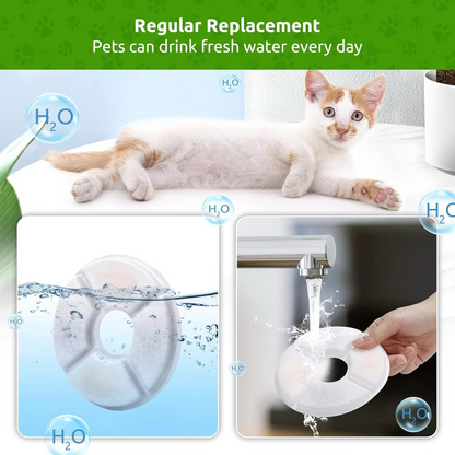 Premium Carbon Water Filters for Cat Fountains