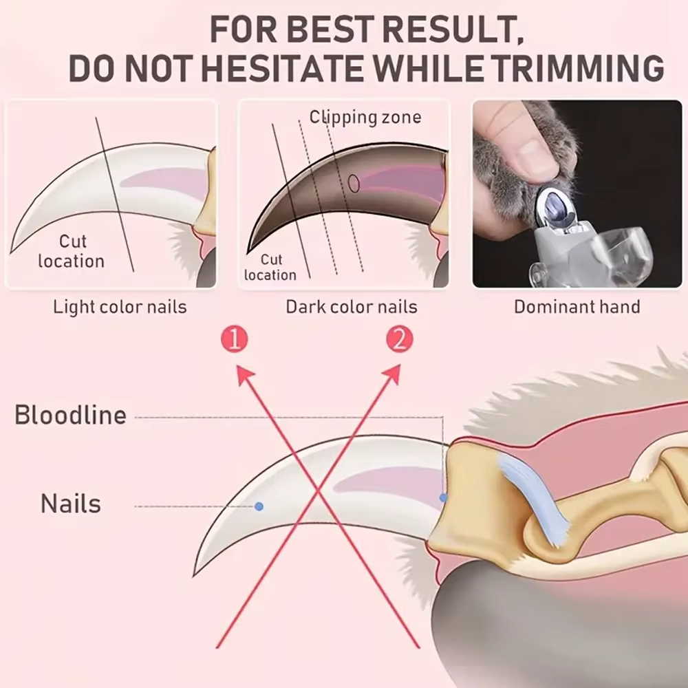 Easy Pet Nail Trimmer with LED Light and Magnifier