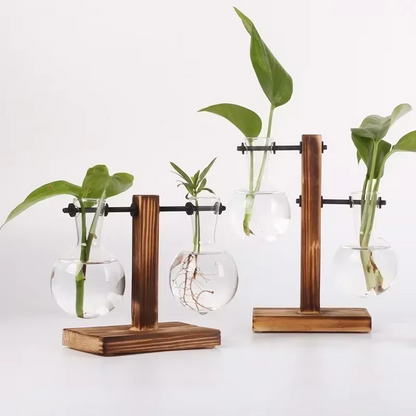 Mini Indoor Glass Terrarium Decor Vase