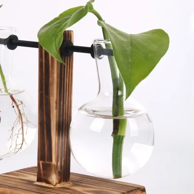 Mini Indoor Glass Terrarium Decor Vase