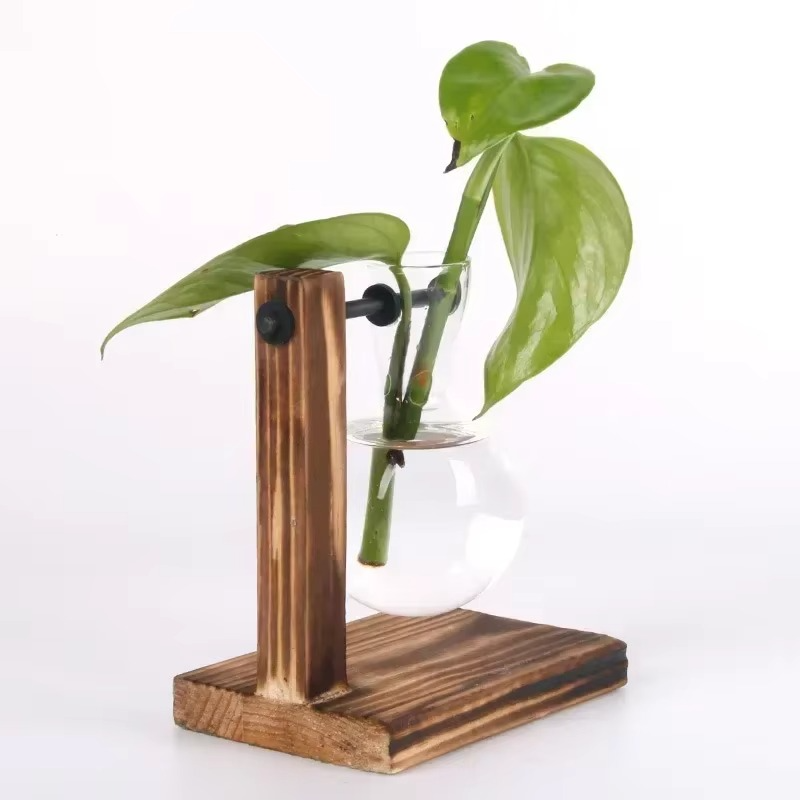 Mini Indoor Glass Terrarium Decor Vase