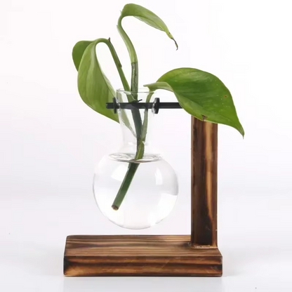 Mini Indoor Glass Terrarium Decor Vase