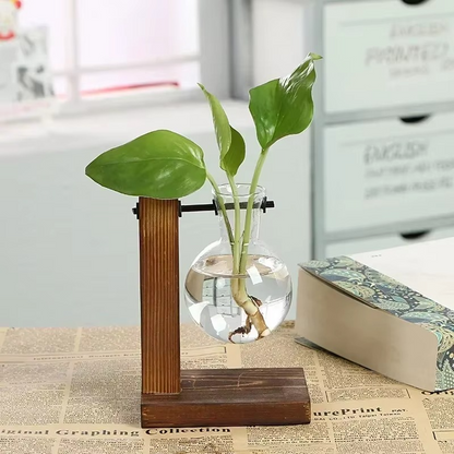 Mini Indoor Glass Terrarium Decor Vase