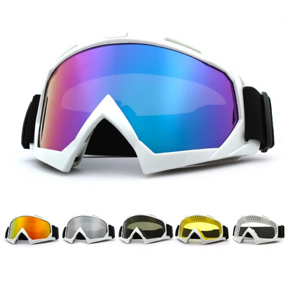 Fogproof Winter Ski and Bike Goggles