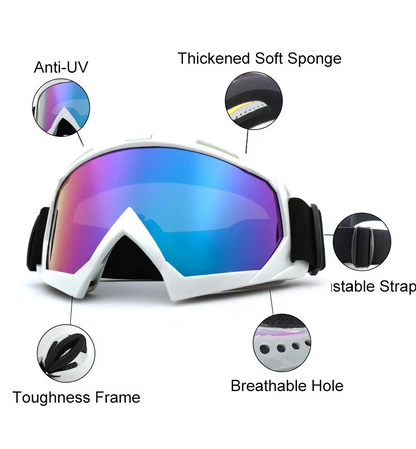Fogproof Winter Ski and Bike Goggles