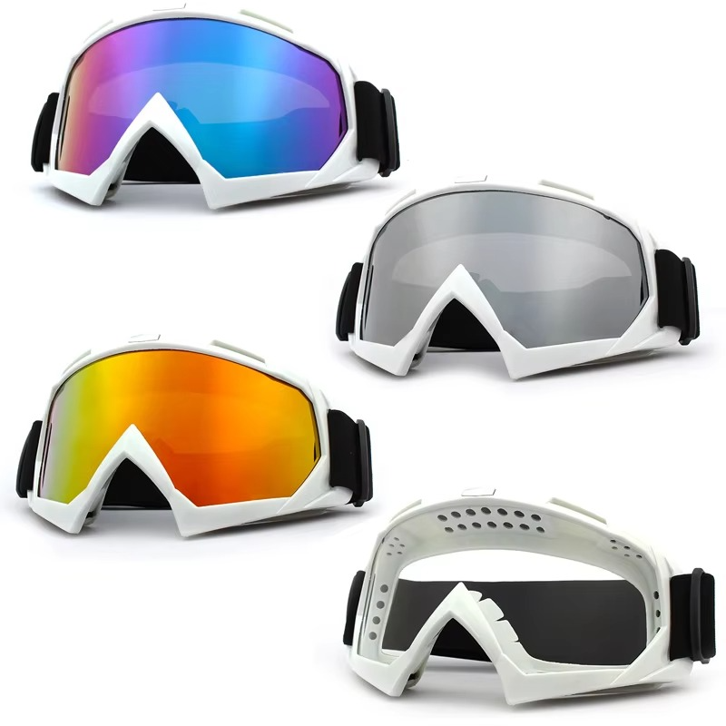 Fogproof Winter Ski and Bike Goggles