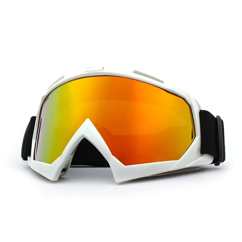 Fogproof Winter Ski and Bike Goggles