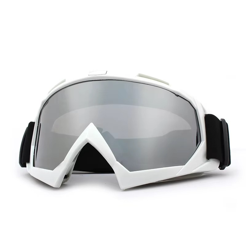 Fogproof Winter Ski and Bike Goggles