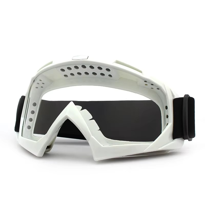 Fogproof Winter Ski and Bike Goggles