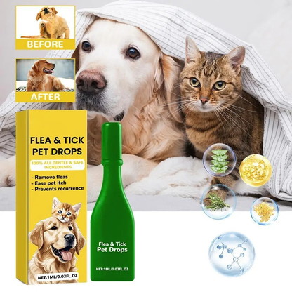Easy Home Flea Relief for Cats