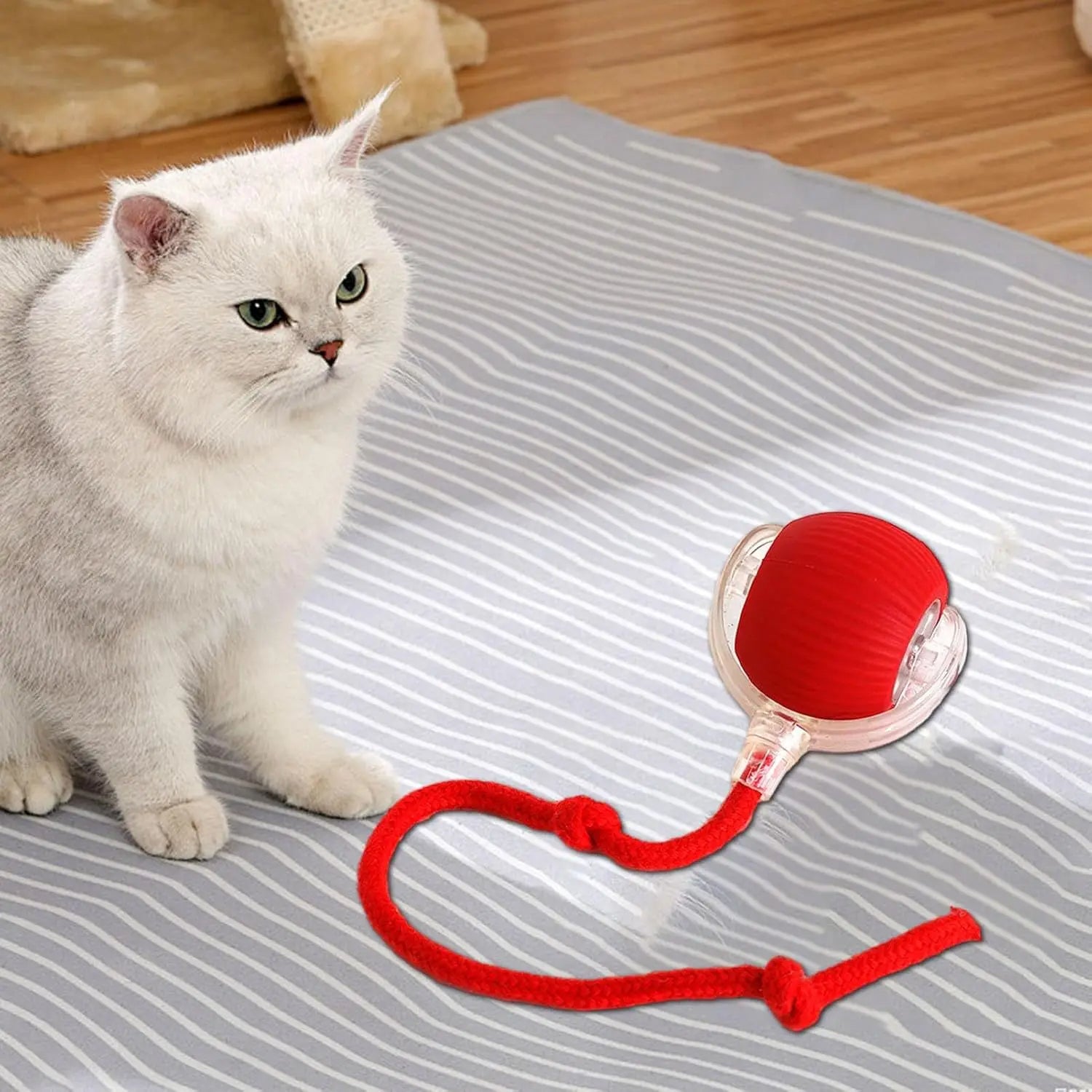 Fun Rechargeable Pet Ball Toy for Dogs and Cats - Hehif
