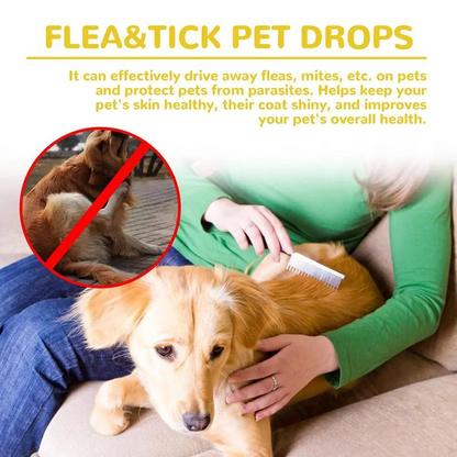 Easy Home Flea Relief for Cats