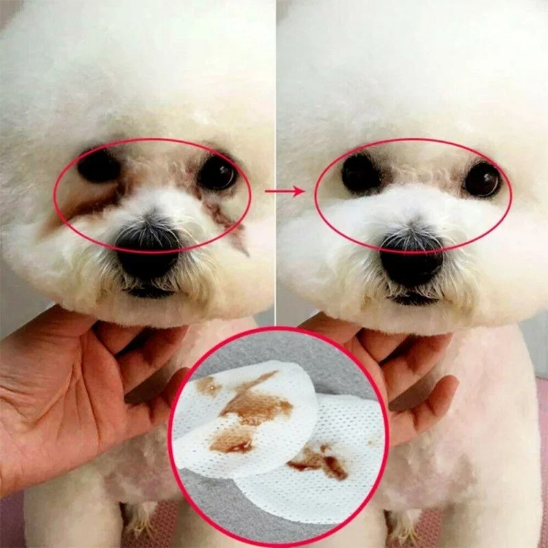 Gentle Pet Eye Cleaning Wipes