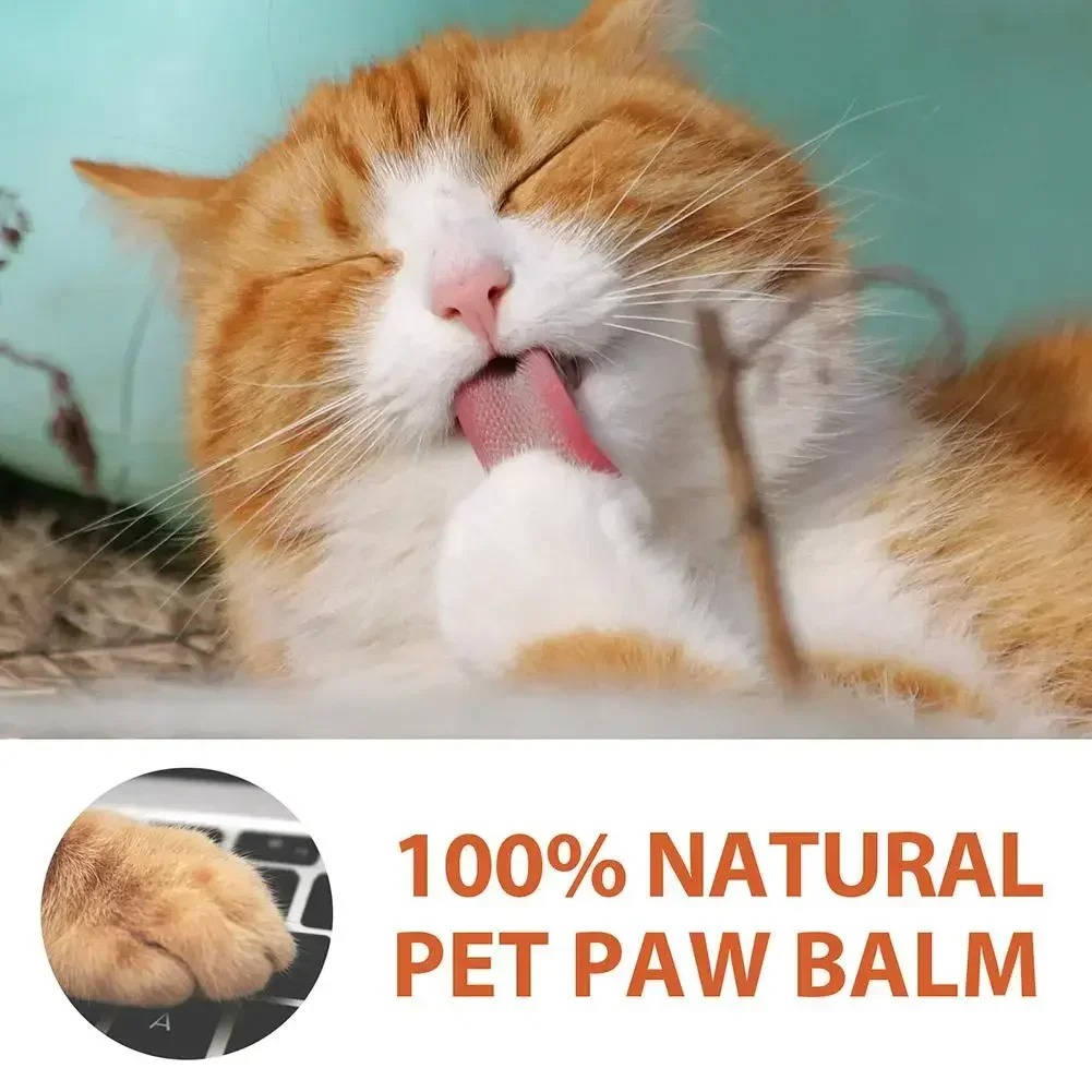 Healing Balm For Dog Paws
