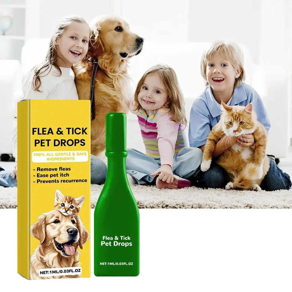 Easy Home Flea Relief for Cats