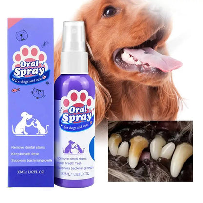 Pet Dental Cleaning Tool