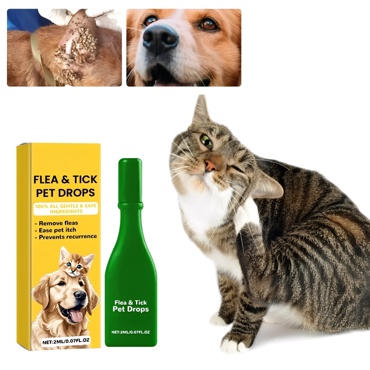 Easy Home Flea Relief for Cats - Hehif