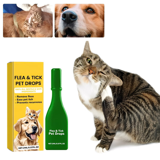 Easy Home Flea Relief for Cats - Hehif