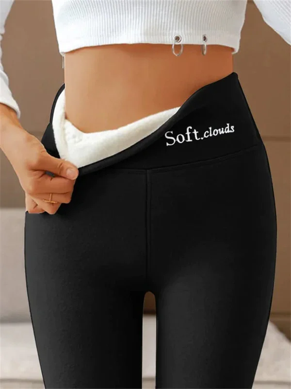 Shapely High Waisted Leggings