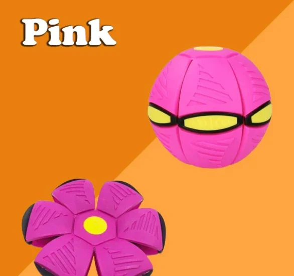 Fun Pet Fetch Ball Toy
