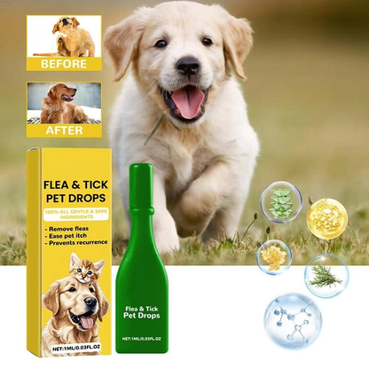 Easy Home Flea Relief for Cats