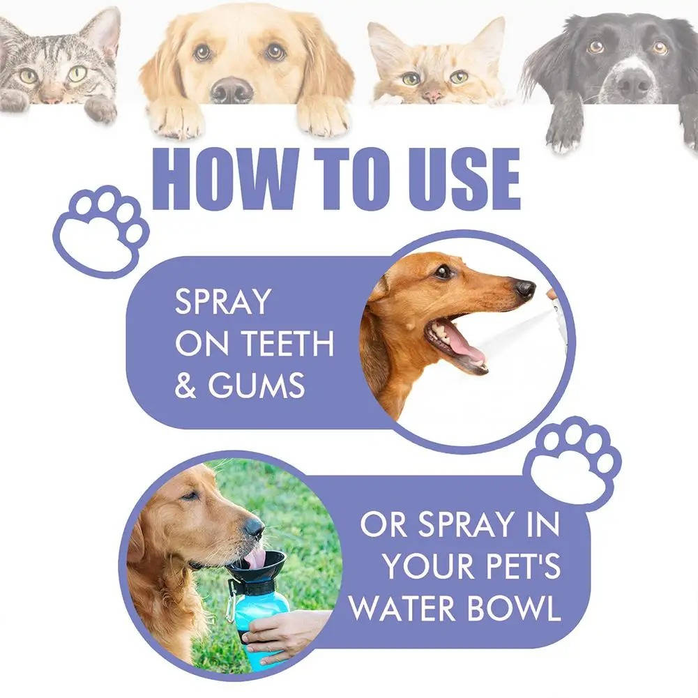 Pet Dental Cleaning Tool