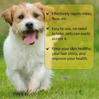 Easy Home Flea Relief for Cats