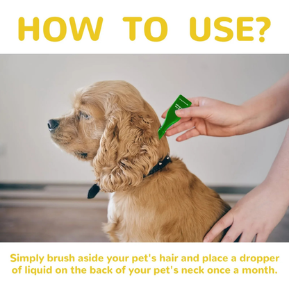 Easy Home Flea Relief for Cats