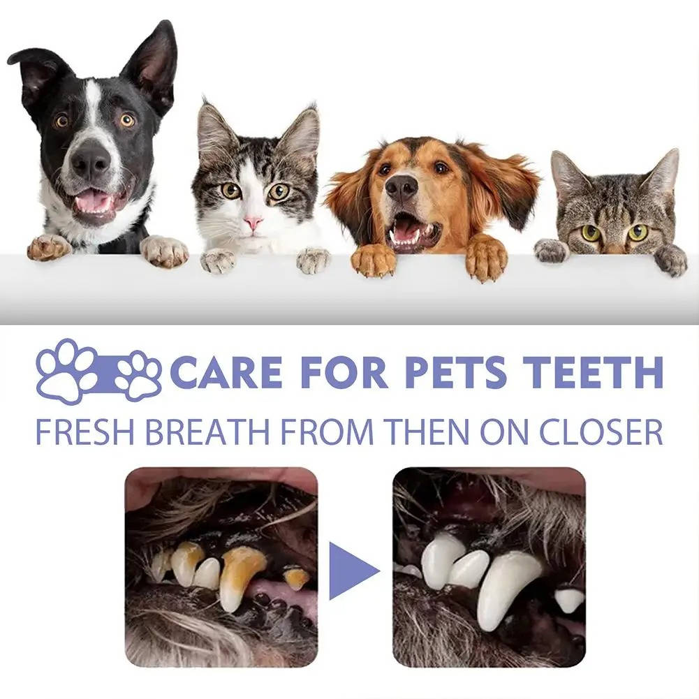 Pet Dental Cleaning Tool