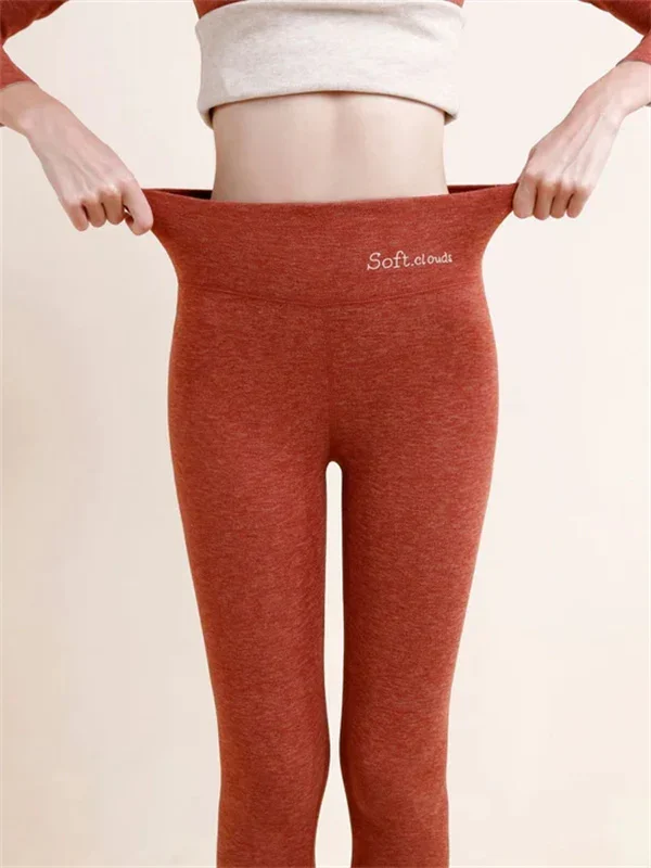 Shapely High Waisted Leggings