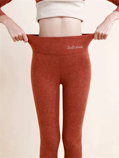 Shapely High Waisted Leggings