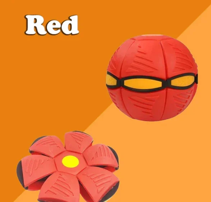 Fun Pet Fetch Ball Toy