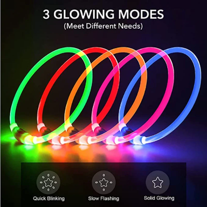 Glowing USB Dog Collar, Rechargeable LED Pet Necklace