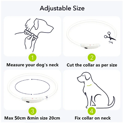 Glowing USB Dog Collar, Rechargeable LED Pet Necklace