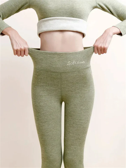 Shapely High Waisted Leggings