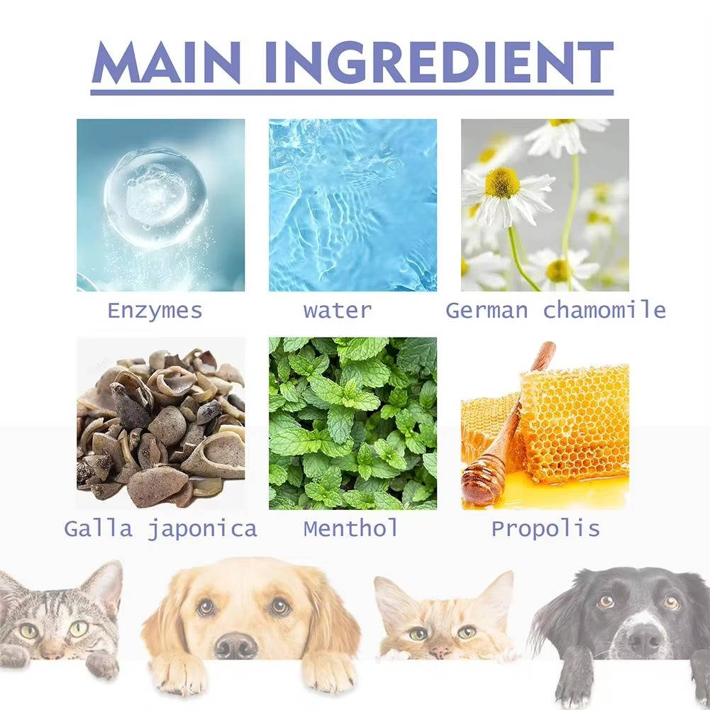 Pet Dental Cleaning Tool