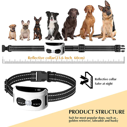 Rechargeable Wireless Pet Fence & Remote Trainer Collar