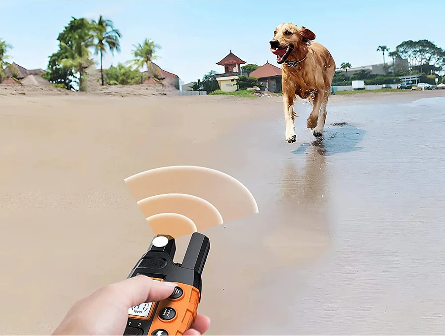 Advanced Long Range Dog Training Collar with Remote