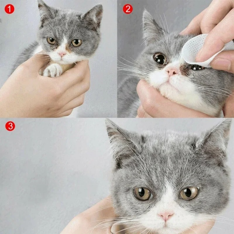 Gentle Pet Eye Cleaning Wipes