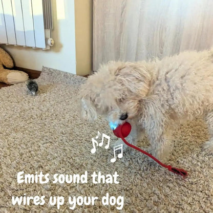 Fun Rechargeable Pet Ball Toy for Dogs and Cats