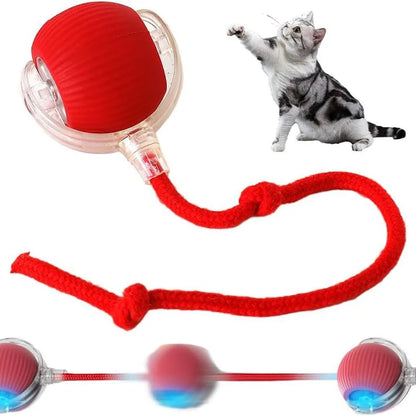 Fun Rechargeable Pet Ball Toy for Dogs and Cats