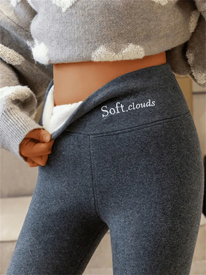Shapely High Waisted Leggings
