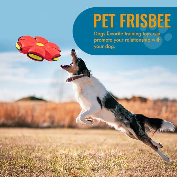 Fun Interactive Bouncy Dog Toy