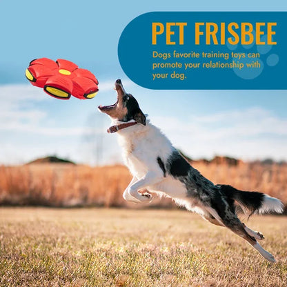 Fun Interactive Bouncy Dog Toy
