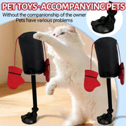 Fun Pet Play Toys