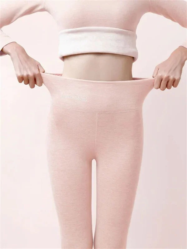 Shapely High Waisted Leggings