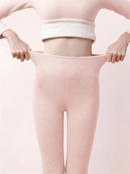 Shapely High Waisted Leggings