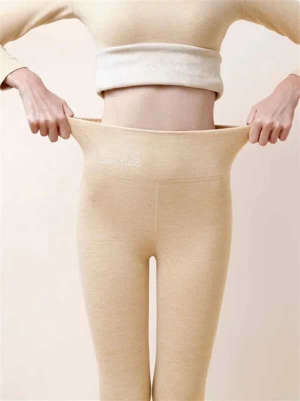 Shapely High Waisted Leggings