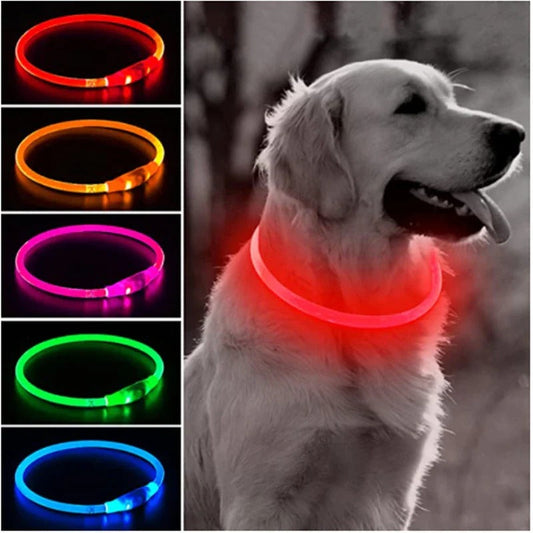 Glowing USB Dog Collar, Rechargeable LED Pet Necklace - Hehif