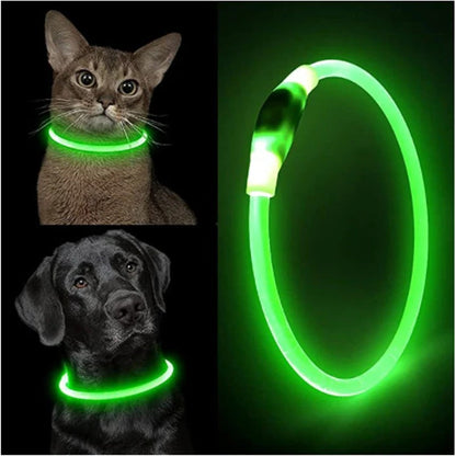 Glowing USB Dog Collar, Rechargeable LED Pet Necklace